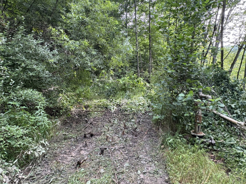 Breathe in Mountain Quiet: Tract 2 Martins Creek
